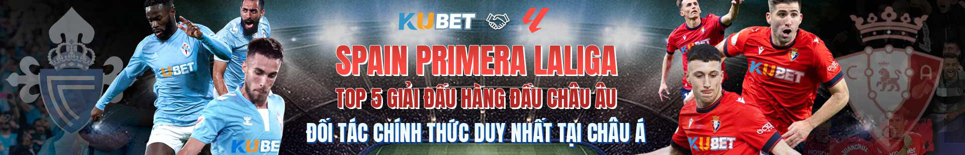 pic banner