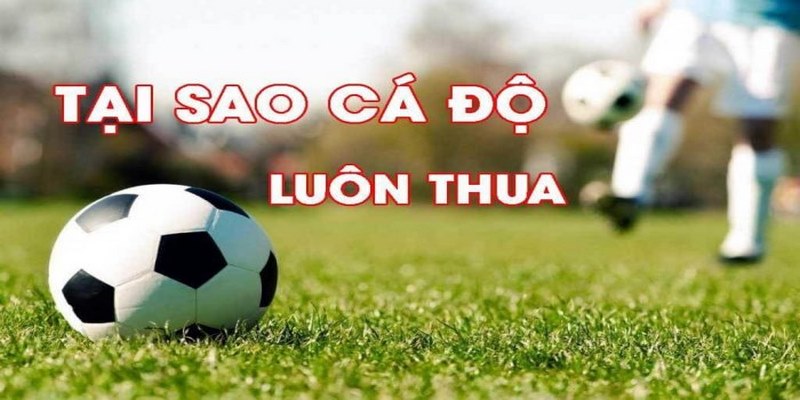 Thiếu hiểu biết và kinh nghiệm khi tham gia cá độ bóng đá